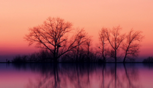 瓦朗谢纳客场战绩下滑，需警惕