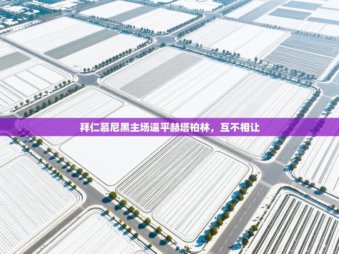 拜仁慕尼黑主场逼平赫塔柏林,互不相让